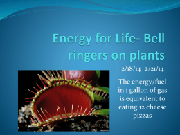 Photosynthesis- Bell ringers on plants