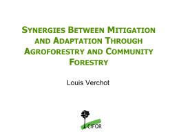 Synergies Between Mitigation and Adaptation Through