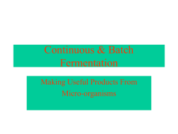Continuous & Batch Fermentation