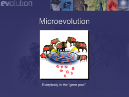 Concept 14.4: Microevolution is a change in a population’s