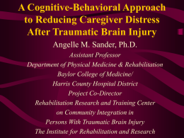 Family Environment of Persons With Traumatic Brain Injury
