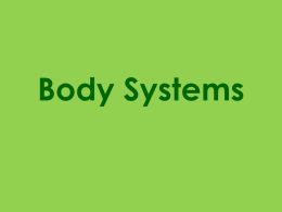 Body Systems - Mahtomedi Middle School Geography