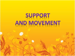 Support & Movement