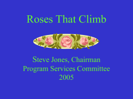 Roses That Climb Steve Jones Tenarky Winter Meeting