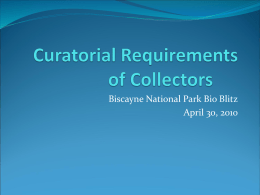 Curatorial Responsibilities of Collectors