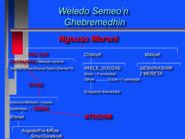 Weledo Semeon Gheremedhin