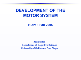 DEVELOPMENT OF THE MOTOR SYSTEM HDP1: Fall 2002