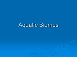 Aquatic Biomes
