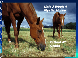 Unit 3 Week 4 Mystic Horse - tmurrayreadingfirst / FrontPage