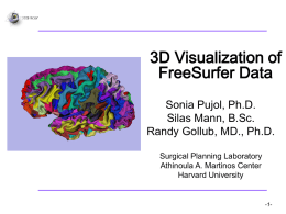 FreeSurfer Data - Medical image computing