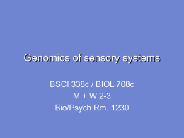 Genomics of sensory systems - University of Maryland