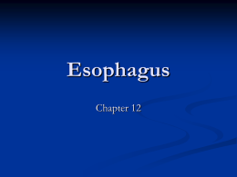 ESOPHAGUS - Tripod.com