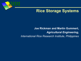 Rice Storage Systems - Home