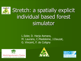 Stretch: a spatially explicit individual based forest