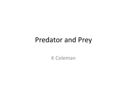 Boom and Bust, Predator and Prey, Relationships