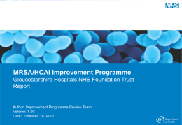 Item 13: MRSA/HCAI Improvement Programme