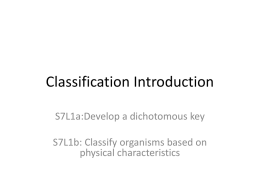 Classification Introduction