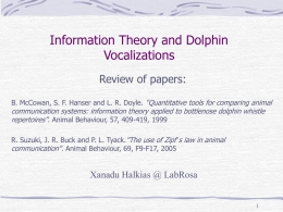 Information Theory and Dolphin Vocalizations