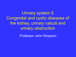 Cystic diseases of the kidney, calculi & urinary obstruction