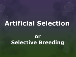 Selective Breeding - ESC-2