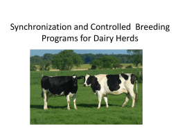 Synchronization and Controlled Breeding Programs for Dairy