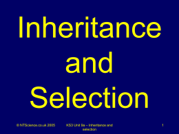 Inheritance and Selection - NT Science games, puzzles