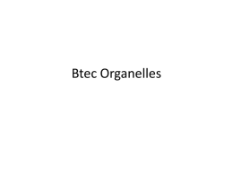 Btec Organelles