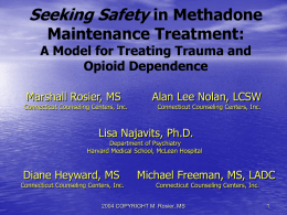 Seeking Safety in Methadone Maintenance Treatment: A Model