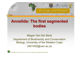 Megan Van Der Plank - University of the Western Cape