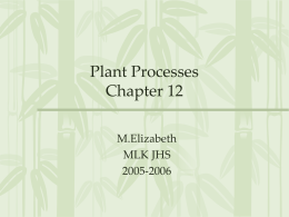 Plant Processes Chapter 12