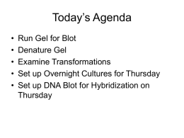 Today’s Agenda - Department of Molecular & Cell Biology