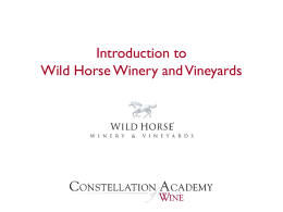 Introduction to Wild Horse Winery and Vineyards