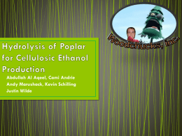 Hydrolysis of Poplar for Ethanol Production