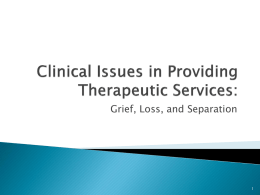 Clinical Issues in Providing Therapeutic Services: