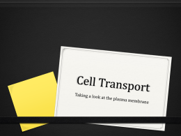 Cell Transport - Ms. Nevel's Biology Website