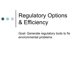 Regulatory Options & Efficiency