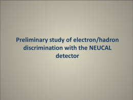Study of e/p discrimination with the NEUCAL detector