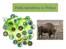 Parki narodowe w Polsce - NAJLEPSZA SZKOŁA JĘZYKOWA W