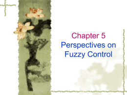 Chapter 6 Perspectives on Fuzzy Control