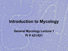 Introduction to Mycology - MIKROBIOLOGI FARMASI INDONESIA