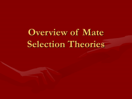 Overview of Mate Selection Theories