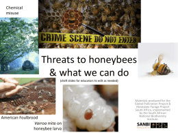 Threats to honeybees (draft slides for educators to edit