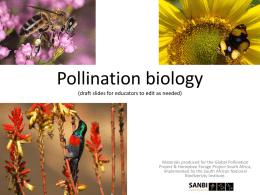 Pollination Biology - Cape Honey Factory