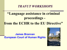 Language Assistance in Criminal Proceedings