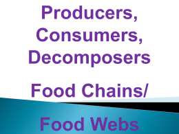 Lesson 2 Producers, Consumers, and Decomposers