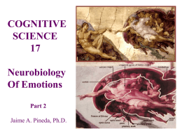 Neuroscience of Emotions - UCSD Cognitive Science