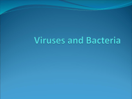 Viruses and Bacteria - Welcome to Mrs. Palmiter's World of