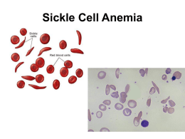 What Causes Sickle Cell Anemia?
