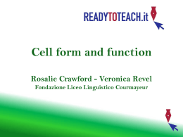 Cell form and function