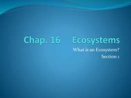 Chap. 16 Ecosystems
